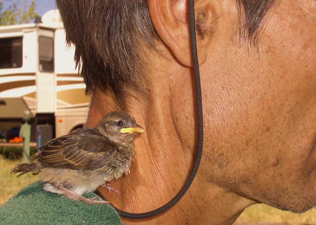 [16 Little Lucio listening carefully.[2].jpg]